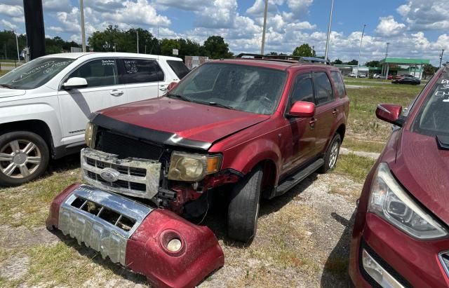 2008 Ford Escape Limited