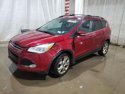 Salvage cars for sale at Central Square, NY auction: 2013 Ford Escape SEL