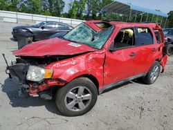 Salvage cars for sale at Spartanburg, SC auction: 2009 Ford Escape XLT