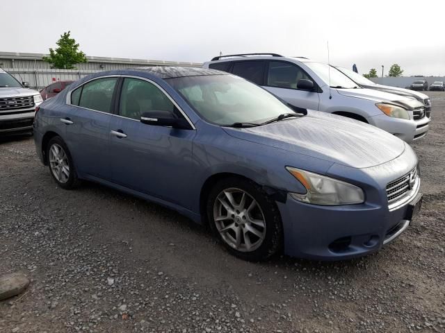 2010 Nissan Maxima S