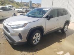 Salvage cars for sale at Reno, NV auction: 2024 Toyota Rav4 LE
