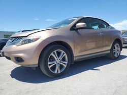 Salvage cars for sale from Copart Orlando, FL: 2011 Nissan Murano Crosscabriolet