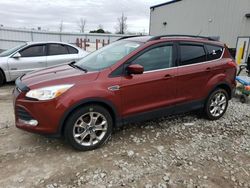 Salvage cars for sale at Appleton, WI auction: 2016 Ford Escape SE