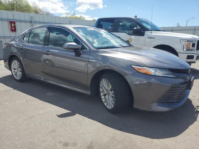 2019 Toyota Camry Hybrid