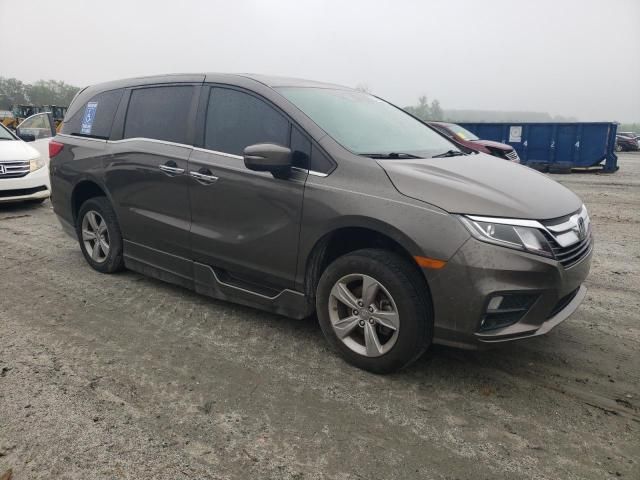 2019 Honda Odyssey EXL