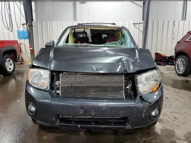 2008 Ford Escape XLT