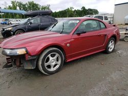 Salvage cars for sale at Spartanburg, SC auction: 2004 Ford Mustang
