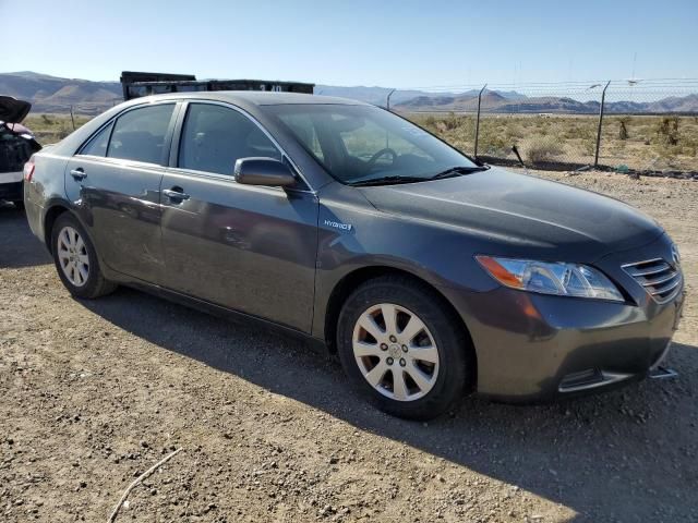 2007 Toyota Camry Hybrid