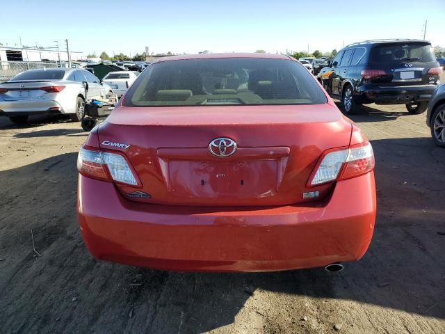 2009 Toyota Camry Hybrid