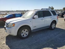 Salvage cars for sale at Antelope, CA auction: 2008 Ford Escape HEV