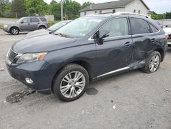 Salvage cars for sale at York Haven, PA auction: 2010 Lexus RX 450