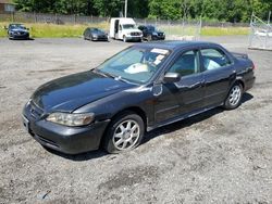 Salvage cars for sale at Finksburg, MD auction: 2002 Honda Accord EX