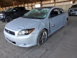 Scion tc salvage cars for sale: 2010 Scion TC