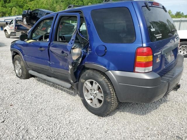 2005 Ford Escape XLT