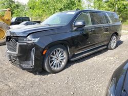 Salvage cars for sale at Marlboro, NY auction: 2021 Cadillac Escalade ESV Premium Luxury