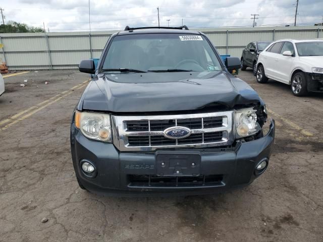 2009 Ford Escape XLT