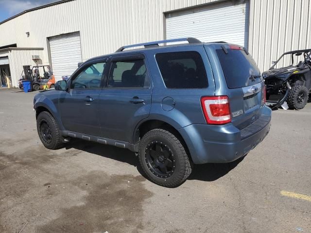 2010 Ford Escape Limited