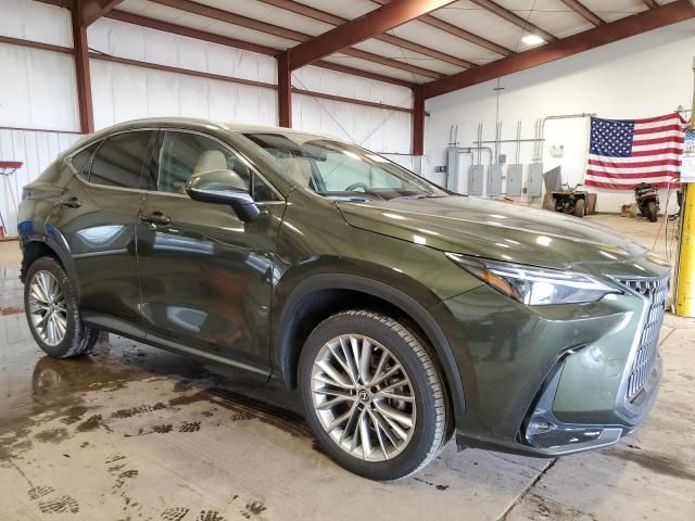 2023 Lexus NX 350