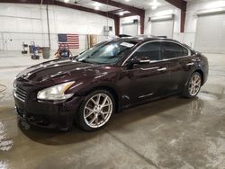Salvage cars for sale at Avon, MN auction: 2010 Nissan Maxima S