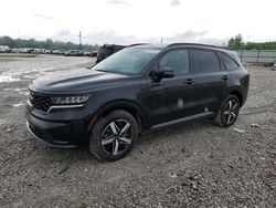 Salvage cars for sale at Lawrenceburg, KY auction: 2023 KIA Sorento S