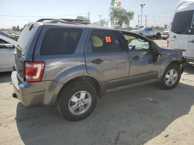 2009 Ford Escape XLT