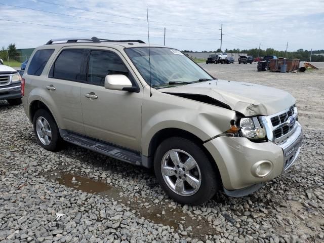 2011 Ford Escape Limited