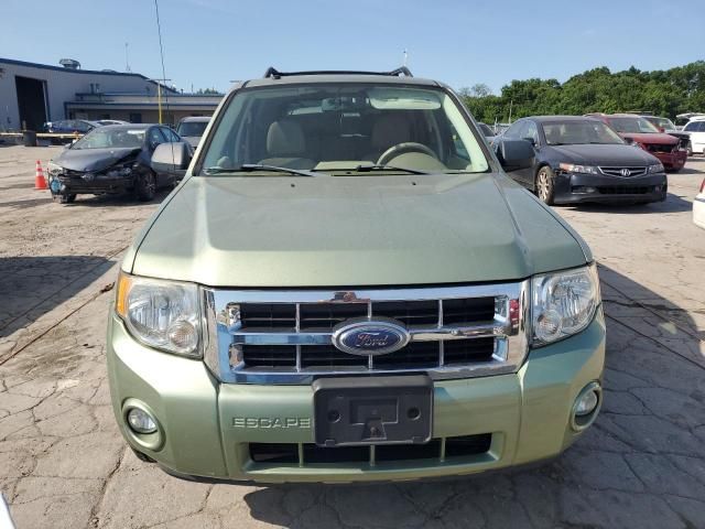 2008 Ford Escape XLT