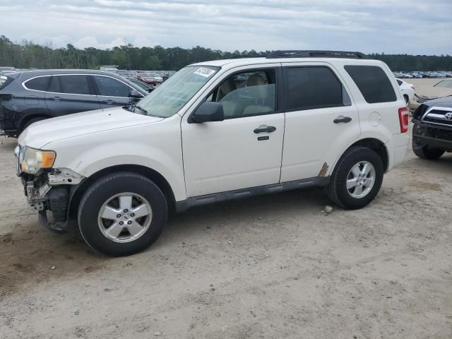 2009 Ford Escape XLT