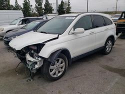 Salvage cars for sale from Copart Rancho Cucamonga, CA: 2009 Honda CR-V EXL