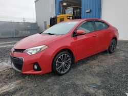 Salvage cars for sale at Elmsdale, NS auction: 2015 Toyota Corolla L