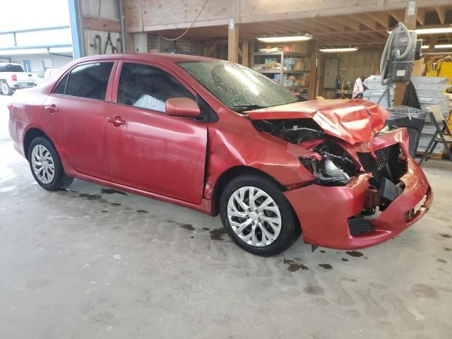 2009 Toyota Corolla Base