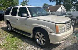 Cadillac Escalade Luxury salvage cars for sale: 2005 Cadillac Escalade Luxury