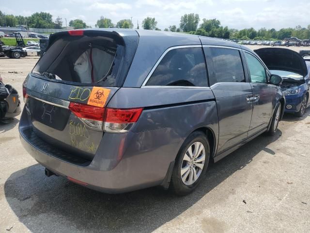 2014 Honda Odyssey EXL