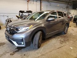 Salvage cars for sale at Wheeling, IL auction: 2020 Honda CR-V EXL