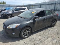 Salvage cars for sale from Copart Arlington, WA: 2014 Ford Focus SE