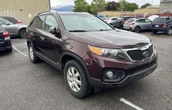 Salvage cars for sale from Copart Magna, UT: 2011 KIA Sorento Base