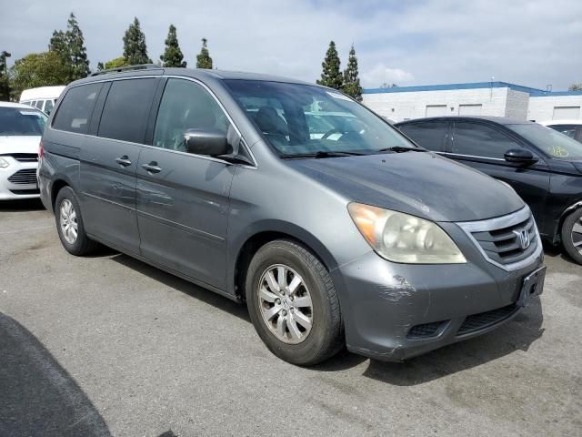 2008 Honda Odyssey EXL