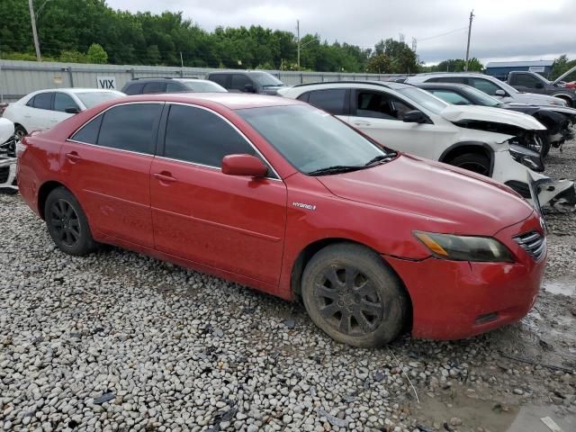 2009 Toyota Camry Hybrid