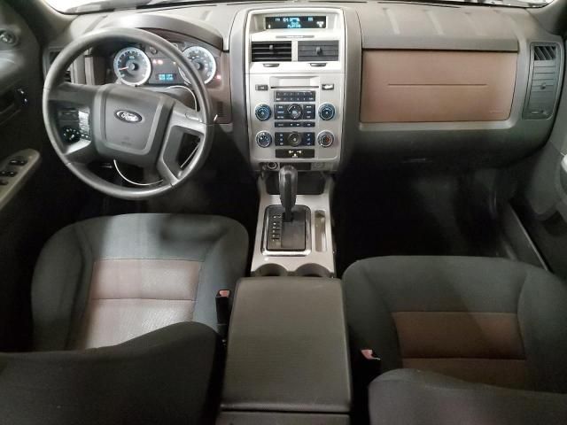 2008 Ford Escape XLT