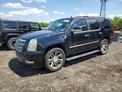 Salvage cars for sale at Windsor, NJ auction: 2012 Cadillac Escalade Platinum