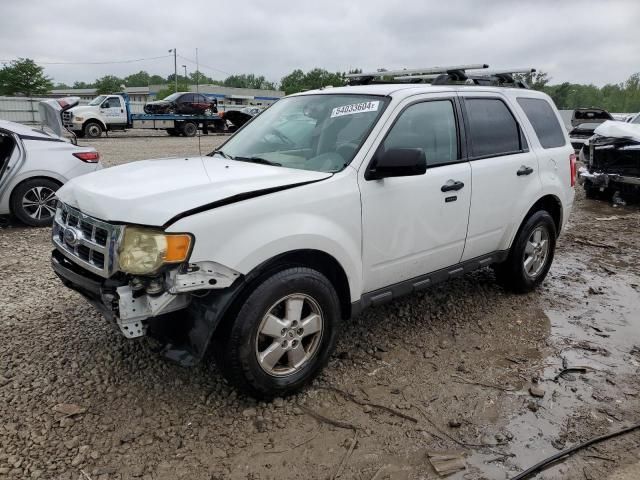 2010 Ford Escape XLT