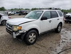 2010 Ford Escape XLT en venta en Louisville, KY