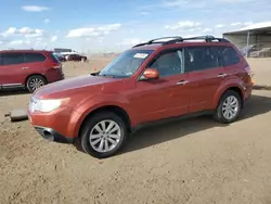 Salvage cars for sale at Brighton, CO auction: 2011 Subaru Forester 2.5X Premium