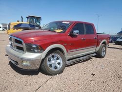 Salvage cars for sale from Copart Phoenix, AZ: 2009 Dodge RAM 1500