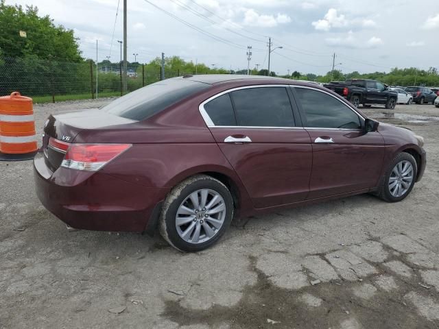 2011 Honda Accord EXL