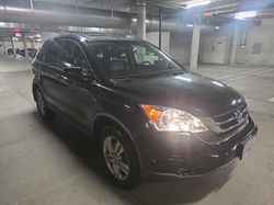 Honda salvage cars for sale: 2011 Honda CR-V EXL