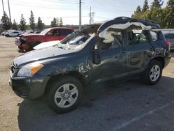 Salvage cars for sale at Rancho Cucamonga, CA auction: 2011 Toyota Rav4