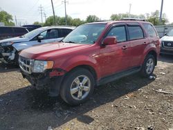 Vehiculos salvage en venta de Copart Columbus, OH: 2010 Ford Escape Limited