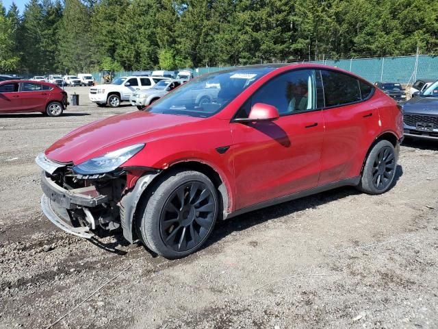 2020 Tesla Model Y