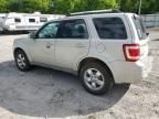 2009 Ford Escape Limited